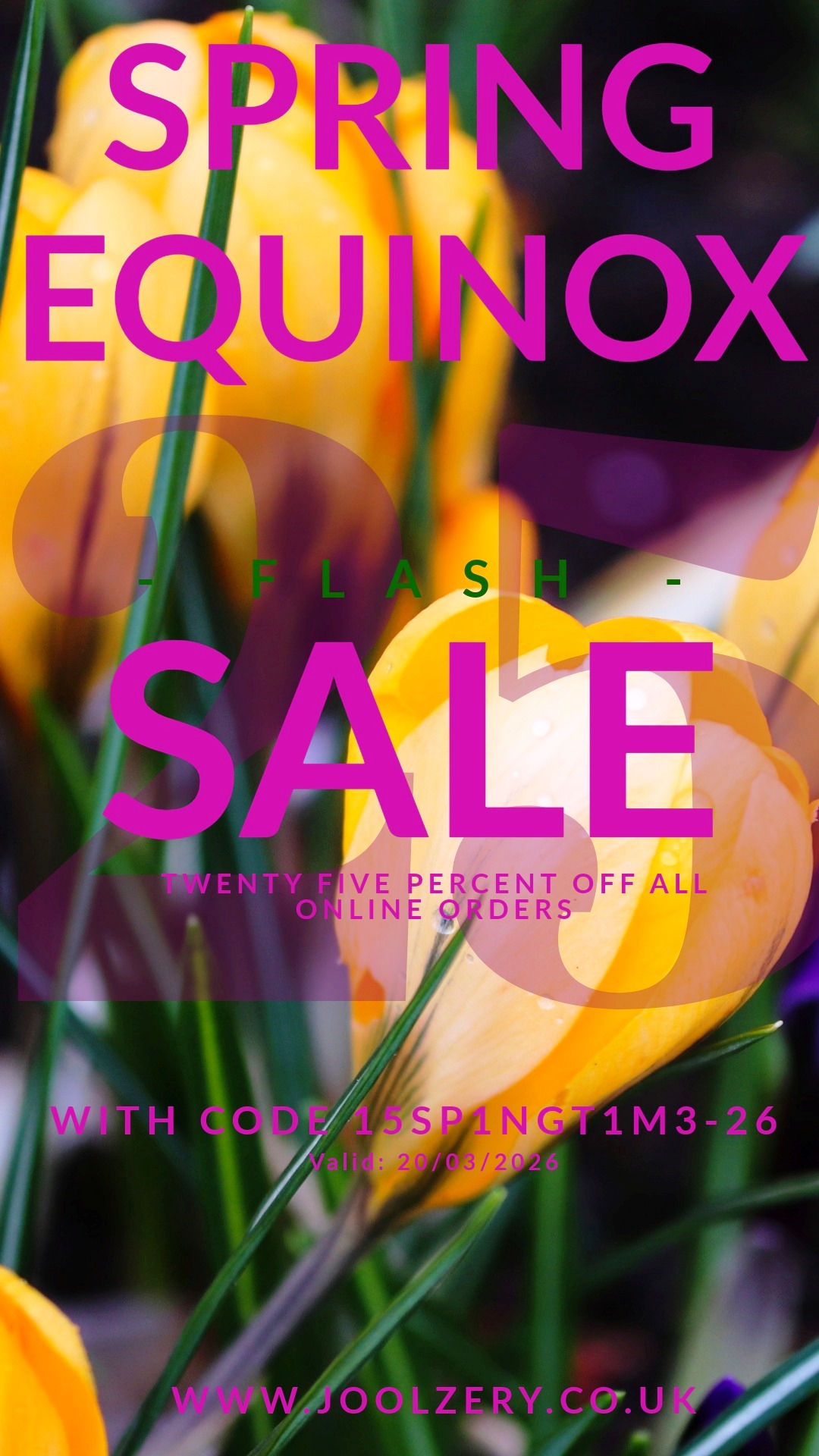 Joolzery 2026 Spring Equinox Flash Sale Voucher