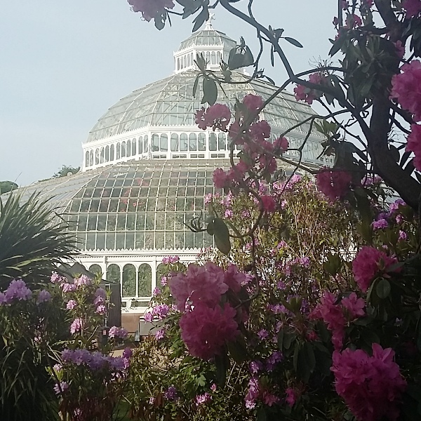 Pop up in the Palmhouse Food and Drink Festival