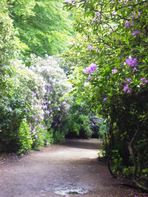 Wollaton Hall Gardens