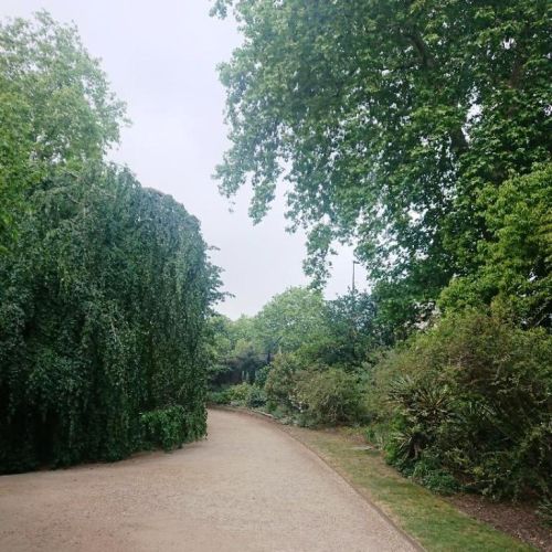 Bucking Palace Gardens